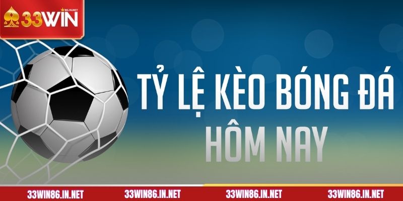 Cách xem tỷ lệ kèo bóng chuẩn nhất